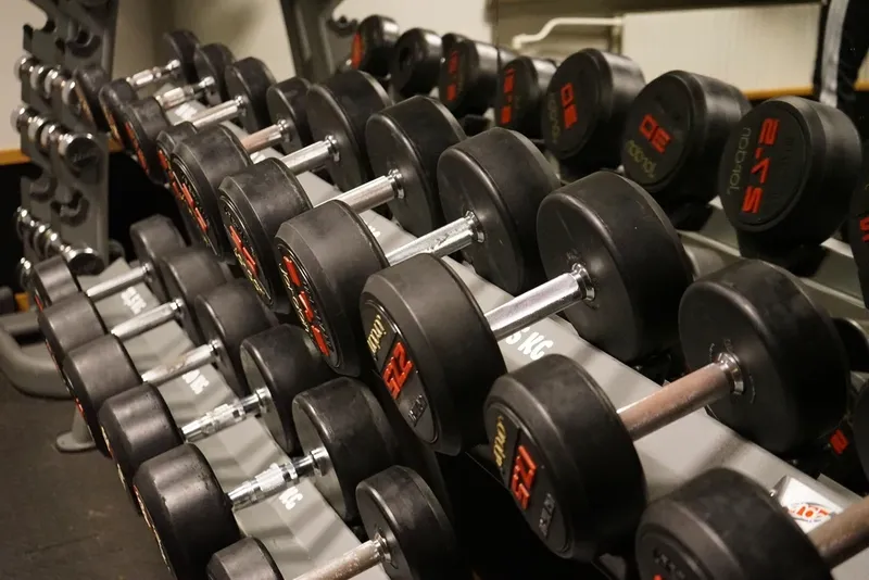 A rack of dumbbells